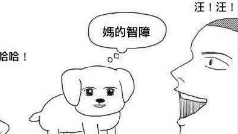 什么是呷哺呷哺